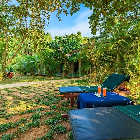 Sath Villa Naadi Ayurveda Resort Moragalla Exterior photo